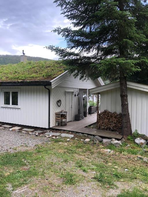 Paradiset - A Beautiful Pearl 1,45 Minutes From Trondheim Surnadal Exterior photo